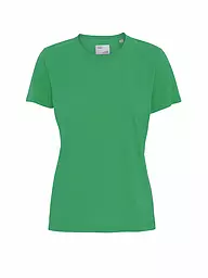 COLORFUL STANDARD | Camiseta | Verde