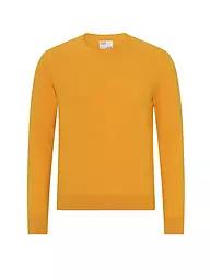COLORFUL STANDARD | Jersey | Amarillo