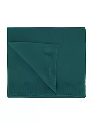 COLORFUL STANDARD | Bufanda | Petróleo