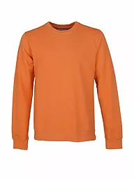 COLORFUL STANDARD | Sweater | Naranja