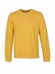 COLORFUL STANDARD | Sweater | Amarillo