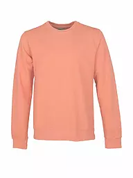 COLORFUL STANDARD | Sweater | Coral
