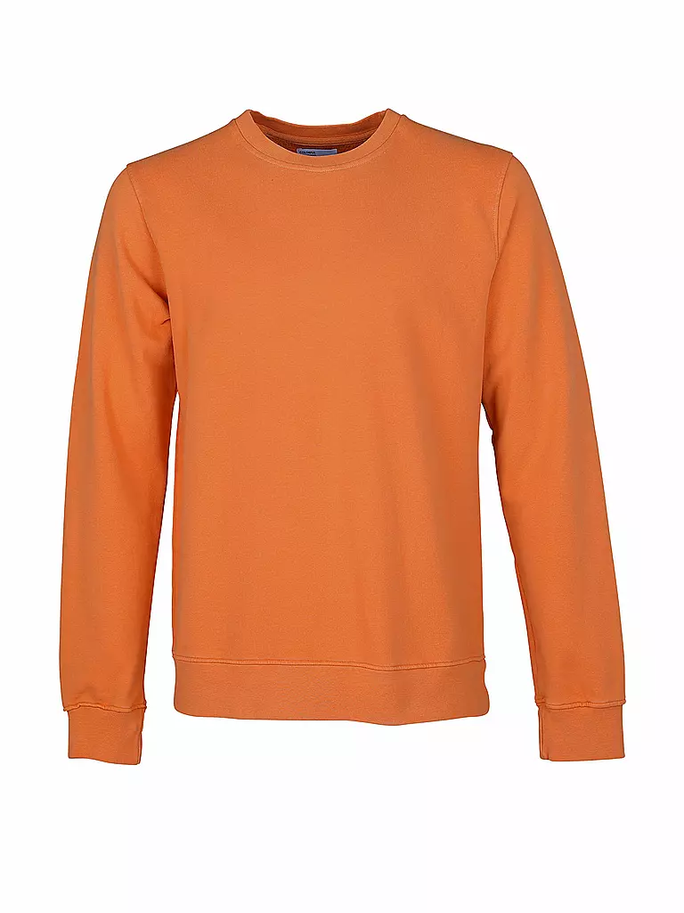 COLORFUL STANDARD | Sweater  | Naranja