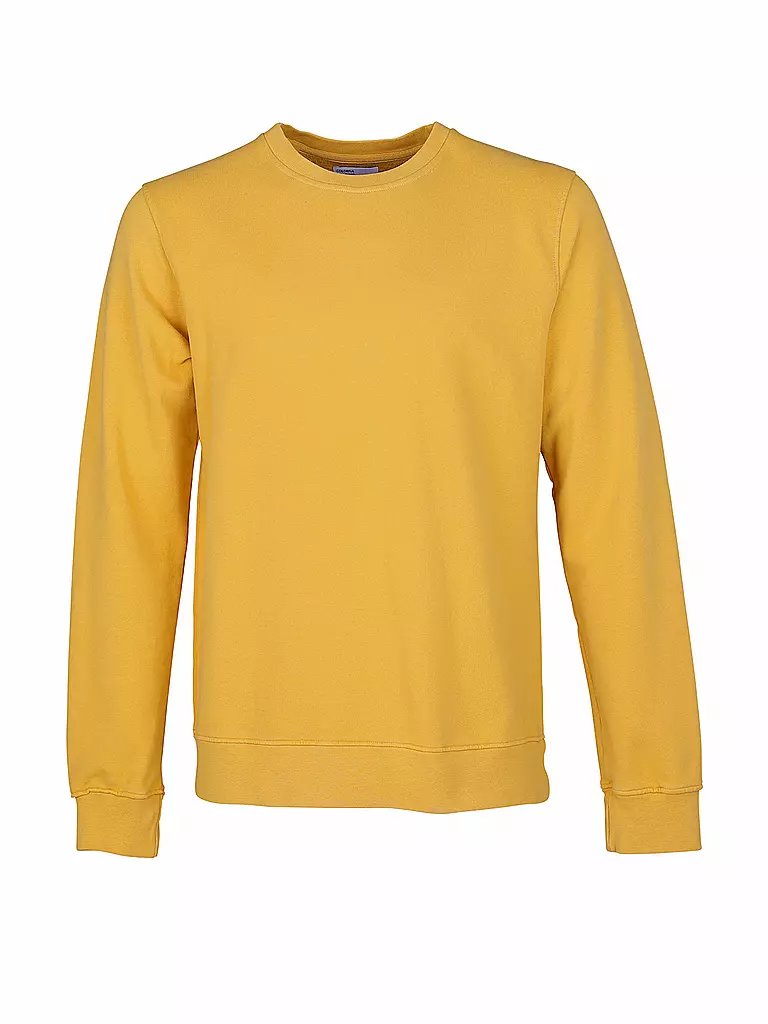 COLORFUL STANDARD | Sweater  | Amarillo