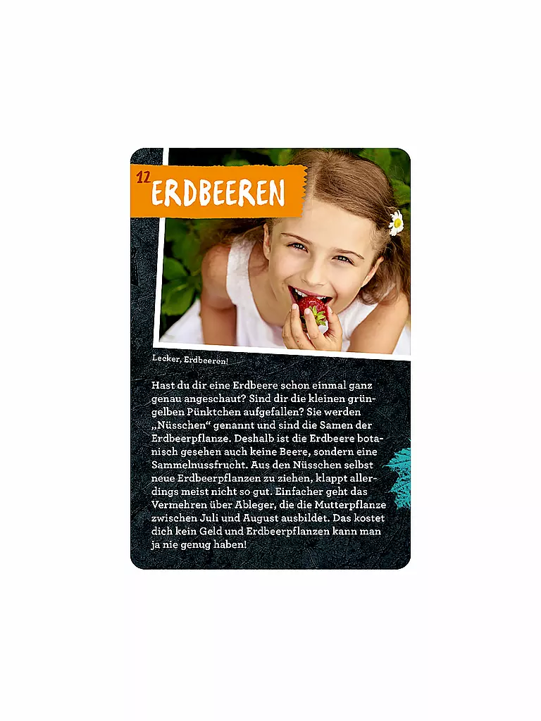 COPPENRATH VERLAG | Libro - 50 Proyectos de Jardín, Stefanie Zysk | 