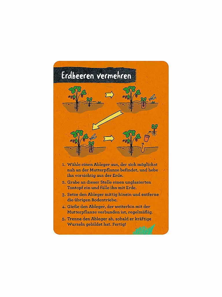 COPPENRATH VERLAG | Libro - 50 Proyectos de Jardín, Stefanie Zysk | 