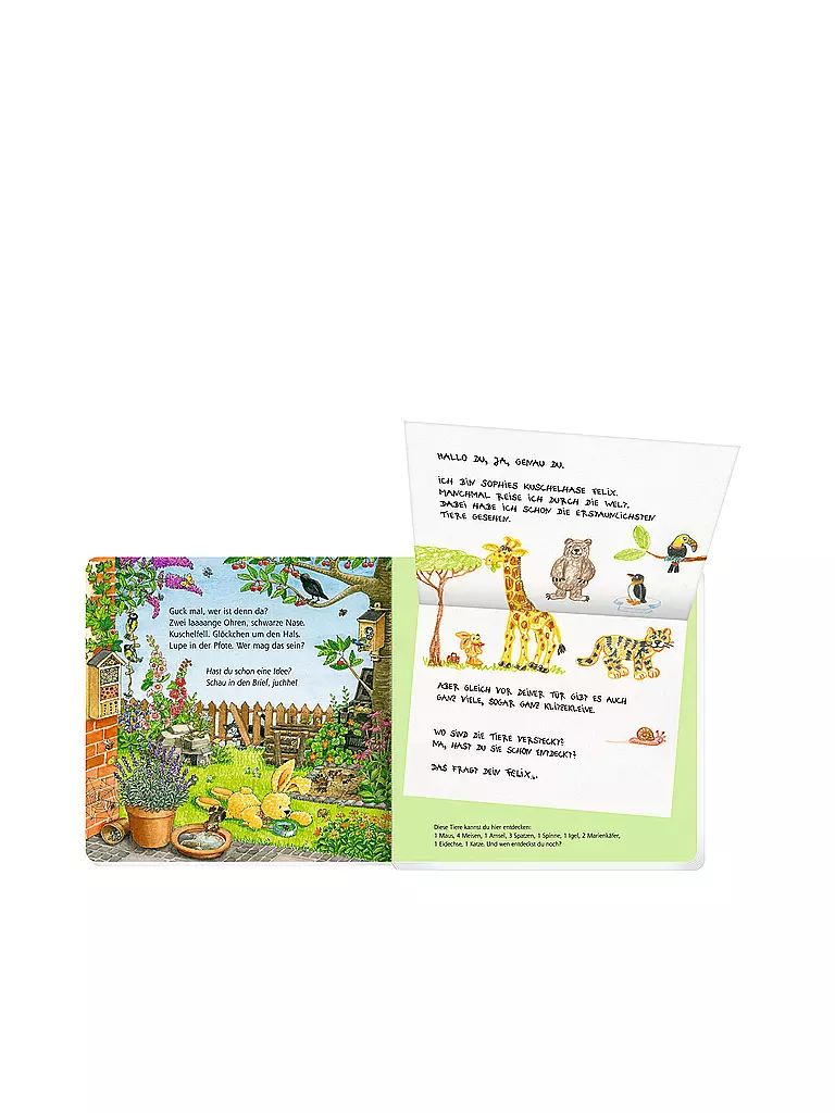 COPPENRATH VERLAG | Libro - Primeras cartas para exploradores de animales de Felix, Annette Langen | 