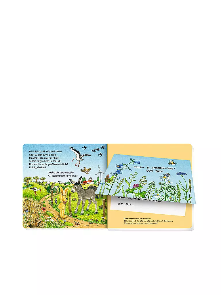 COPPENRATH VERLAG | Libro - Primeras cartas para exploradores de animales de Felix, Annette Langen | 
