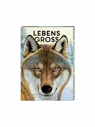 COPPENRATH VERLAG | Libro - Tamaño natural - Animales del bosque | Sin color