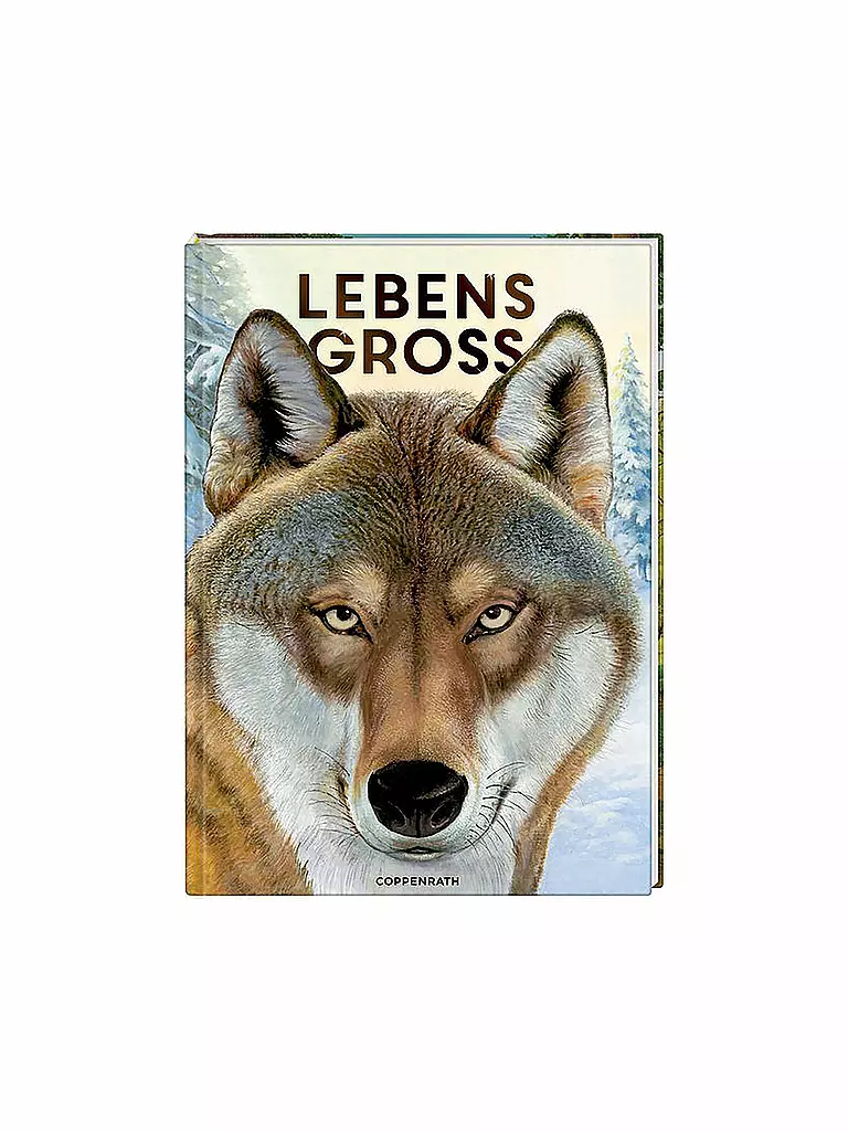 COPPENRATH VERLAG | Libro - Tamaño natural - Animales del bosque | Sin color