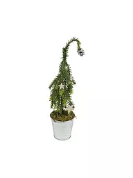 COUNTRYFIELD | Estrella de Navidad LED 20x30x35cm 3D Faery Gold | Oro