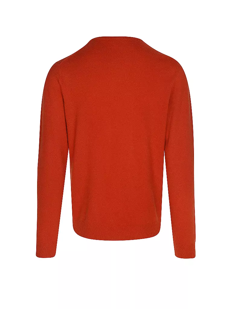 DANIELE FIESOLI | Jersey | 