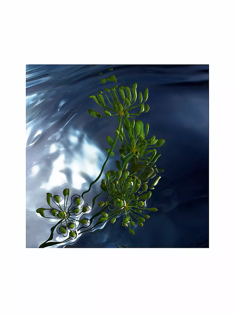 DAVIDOFF | Cool Water Reborn Man Eau de Toilette 125ml | 