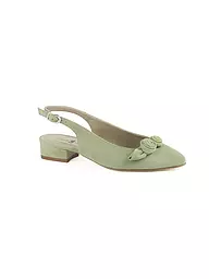 DIRNDL & BUA | Zapatos tradicionales - Zapatos de salón | Verde