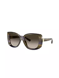 DOLCE&GABBANA | Gafas de sol 0DG4495/56 | Marrón