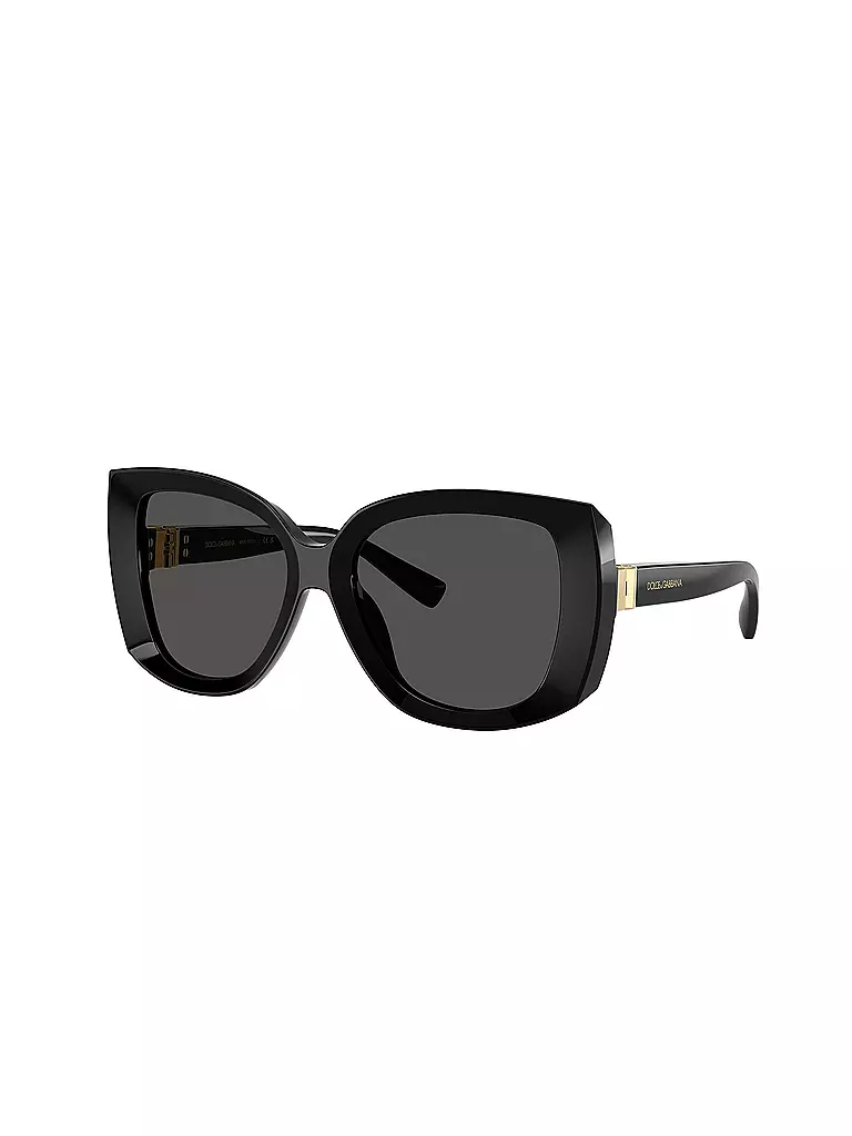 DOLCE&GABBANA | Gafas de sol 0DG4495/56 | Negro