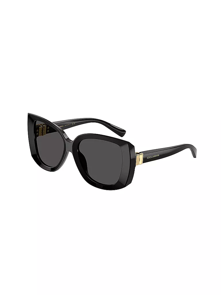 DOLCE&GABBANA | Gafas de sol 0DG4495/56 | Negro