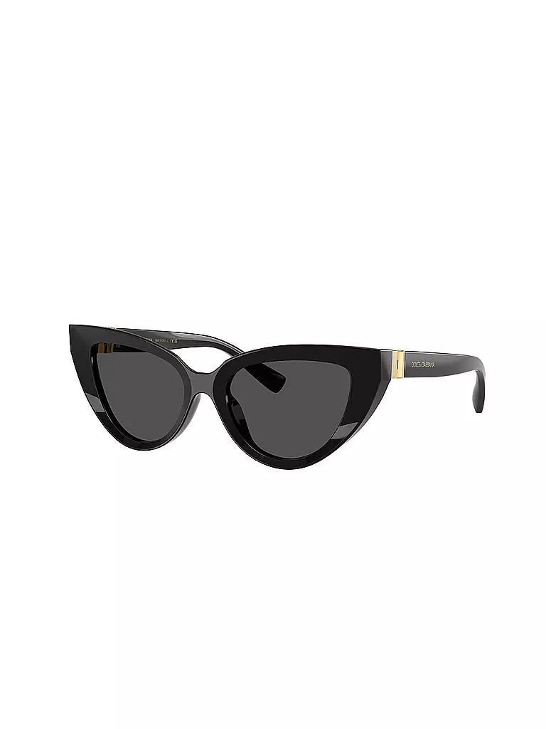 DOLCE&GABBANA | Gafas de sol 0DG4497/52 | Negro