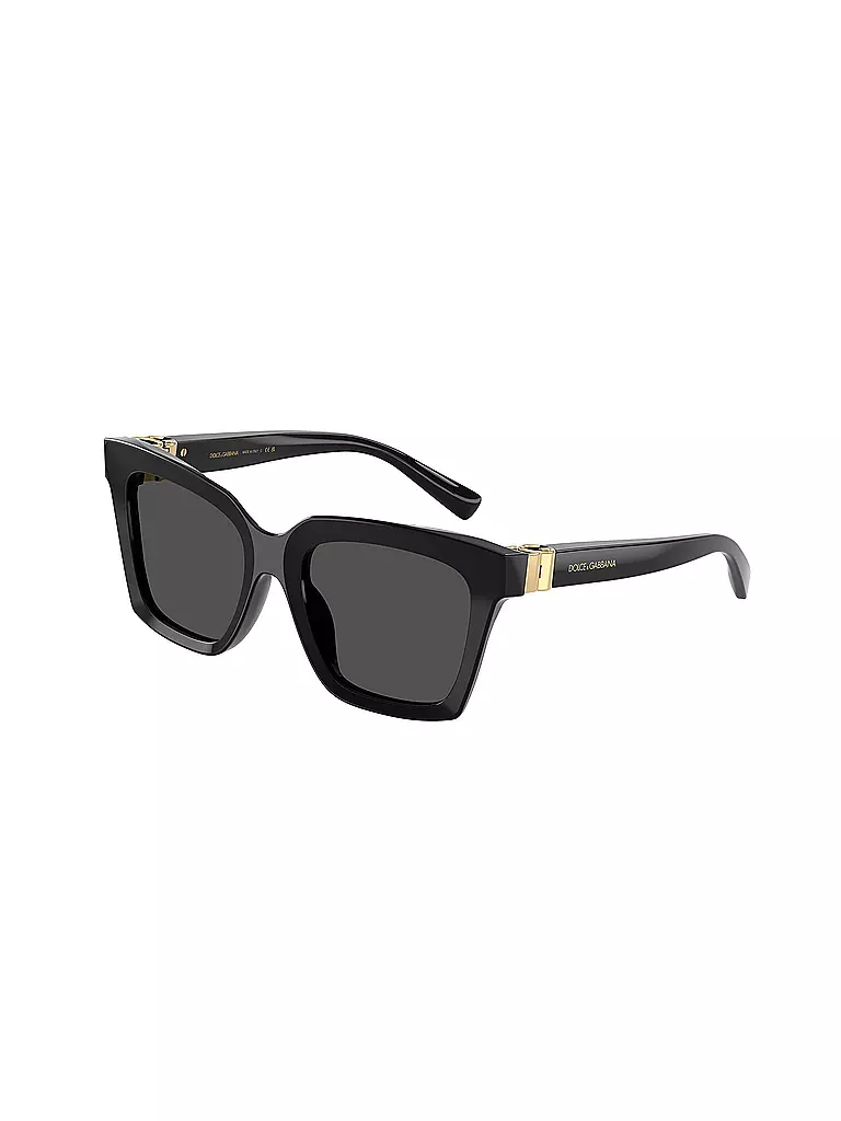 DOLCE&GABBANA | Gafas de sol 0DG4498/55 | Negro