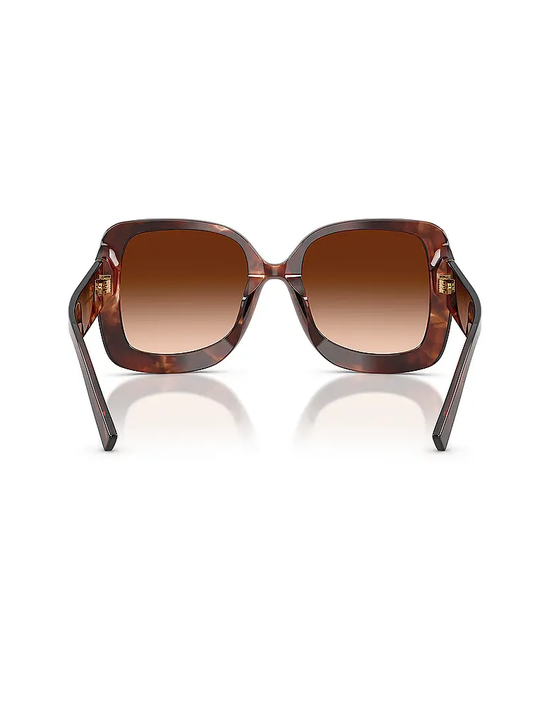 DOLCE&GABBANA | Gafas de sol 0DG4513/55 | Marrón