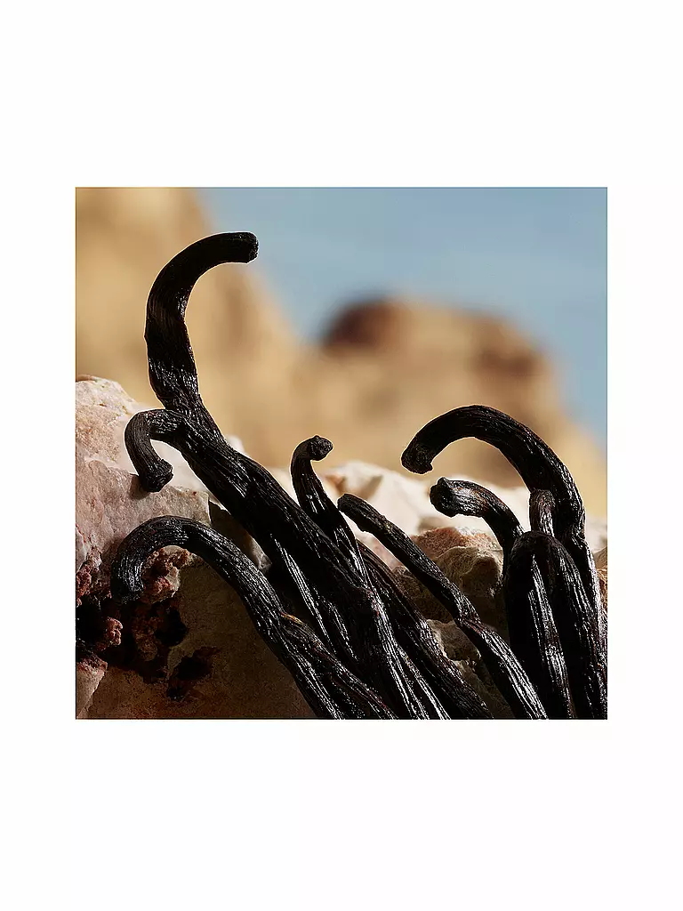 DOLCE&GABBANA | Q by Dolce&Gabbana Perfume 50ml | Sin color