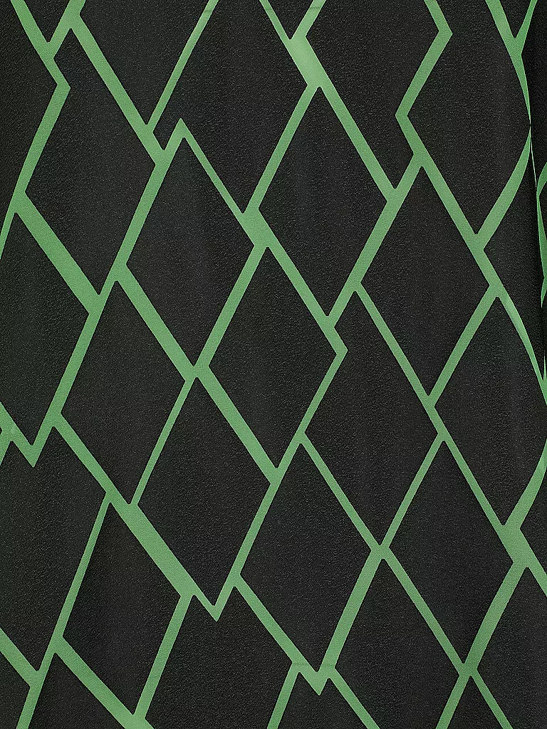 DORIS STREICH | Blusa | Verde