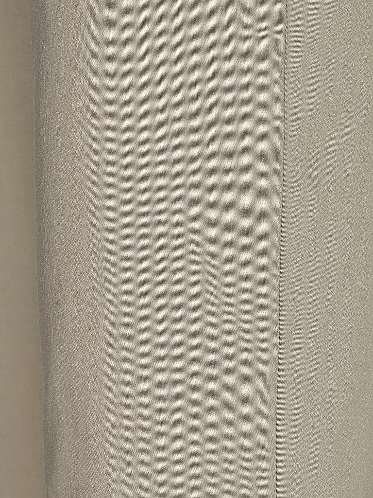 DORIS STREICH | Pantalones de vestir | Beige