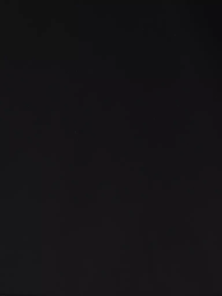 DORIS STREICH | Sweatshirt | Negro