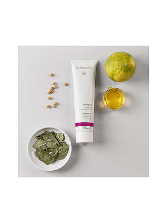 DR. HAUSCHKA | Champú 150ml
