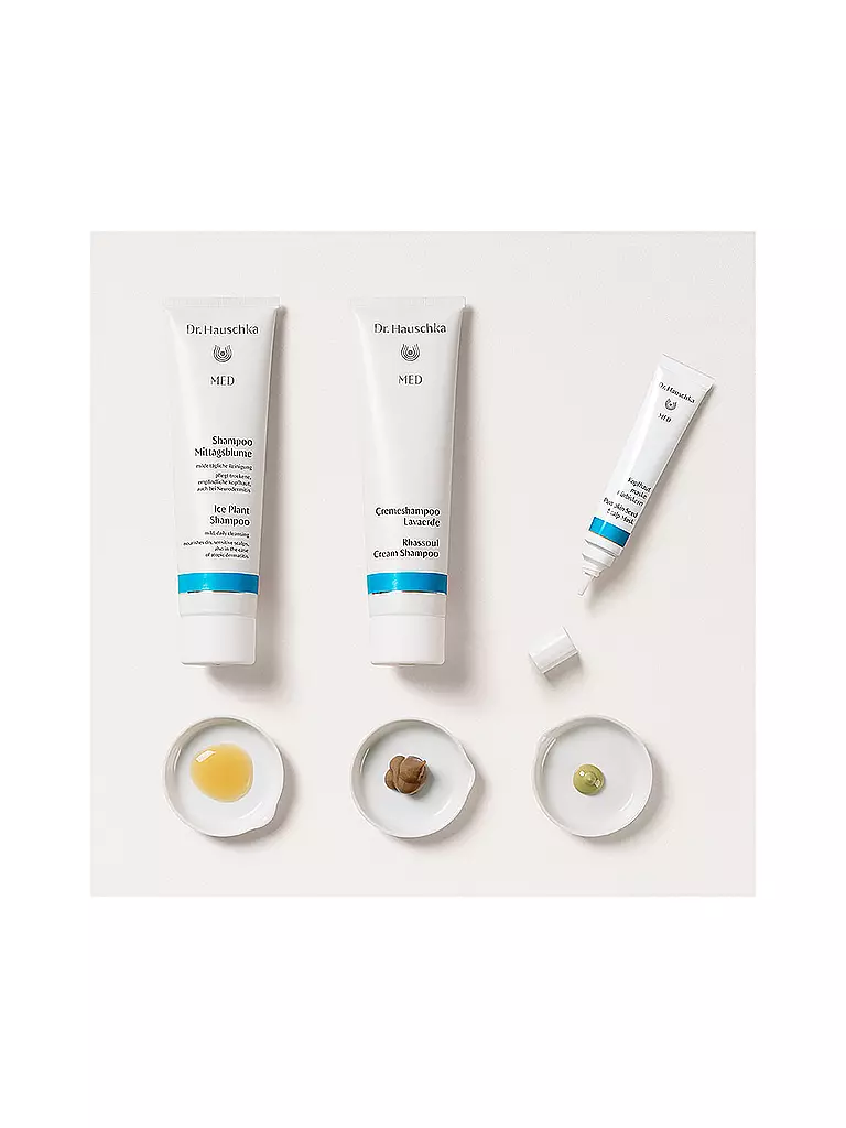 DR. HAUSCHKA | Cuidado del cabello - Mascarilla para el cuero cabelludo con semilla de calabaza 25ml | 