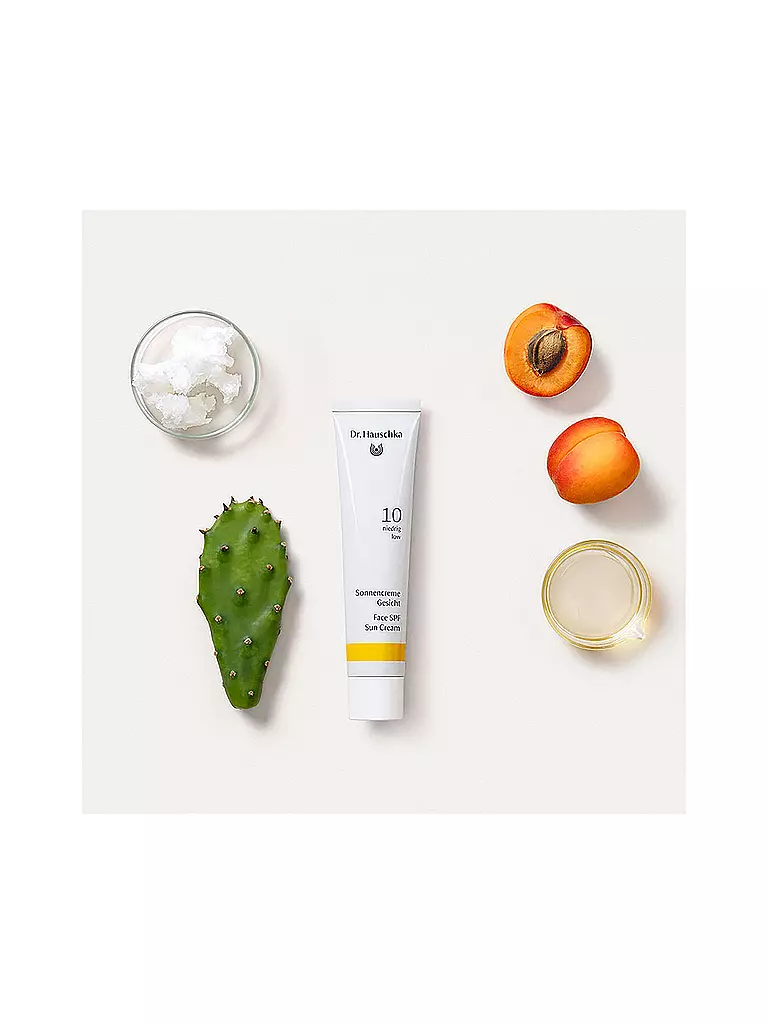 DR. HAUSCHKA | Cuidado solar - Crema solar facial FPS 10 40ml | Sin color