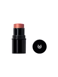 DR. HAUSCHKA | Lip to Cheek (04 Gold) | Coral