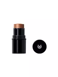 DR. HAUSCHKA | Lip to Cheek (04 Gold) | Oro