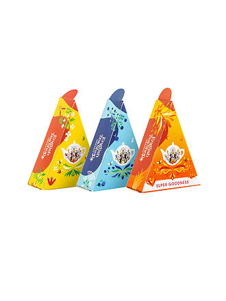 ENGLISH TEA SHOP | Caja de regalo Colección de té Wellness 12 bolsitas piramidales