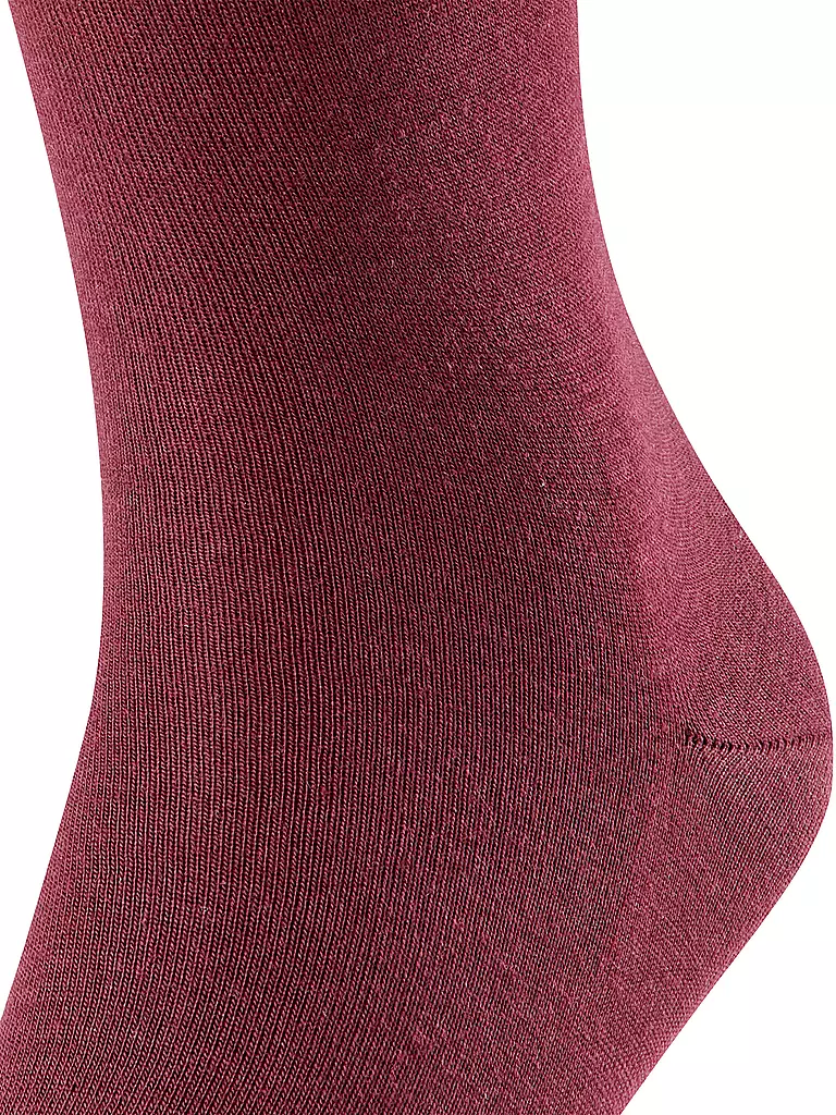 FALKE | Calcetines Airport barolo | Rojo oscuro
