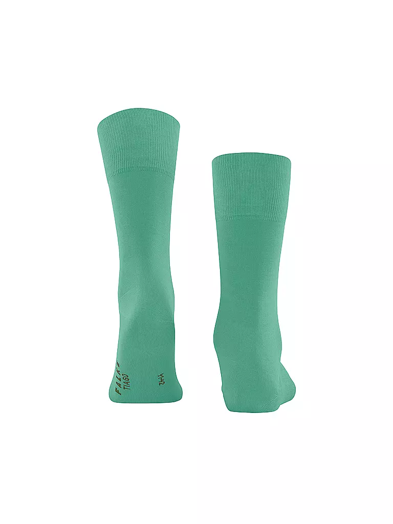 FALKE | Calcetines TIAGO oceangreen | Verde claro