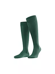 FALKE | Calcetines altos TIAGO barolo | Verde oscuro