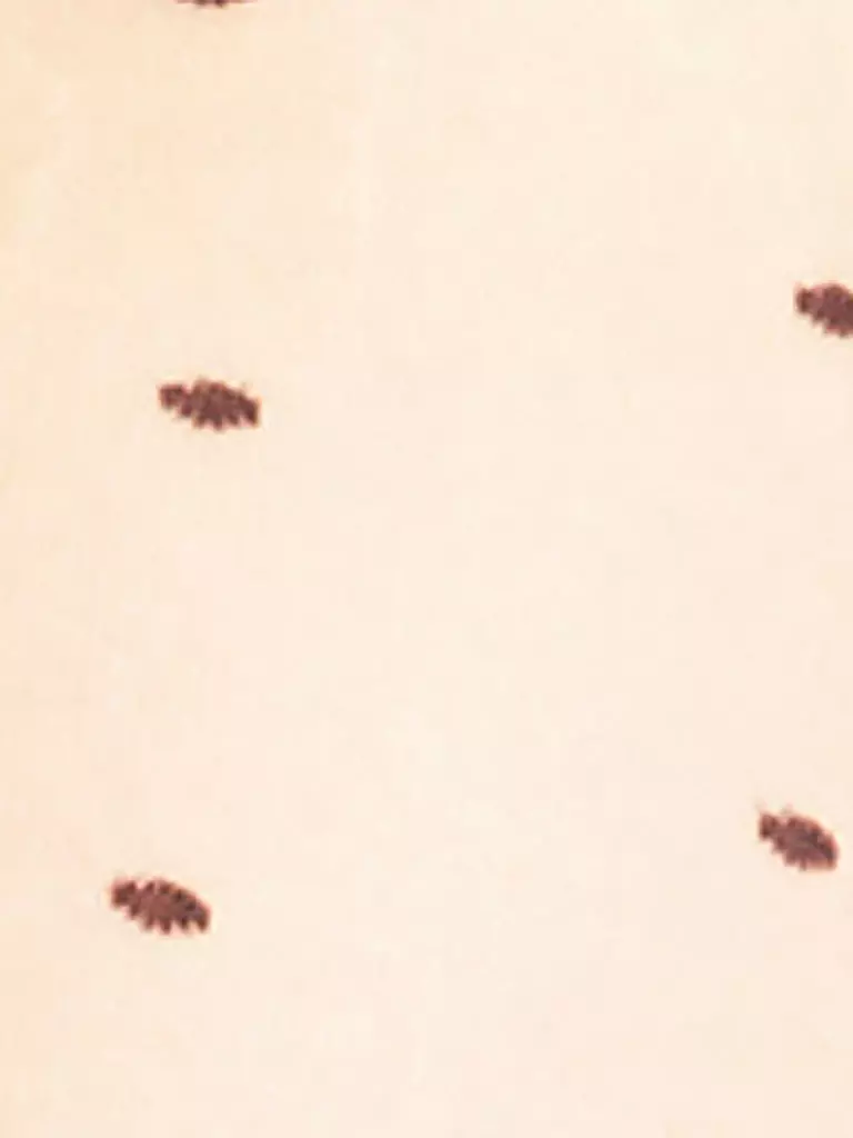 FALKE | Medias de moda 15 Dot Powder |