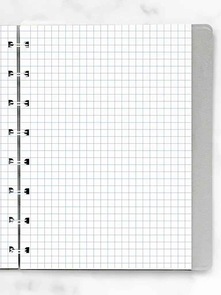 FILOFAX | Recambios de hojas cuadriculadas para cuaderno Filofax A5 | Blanco