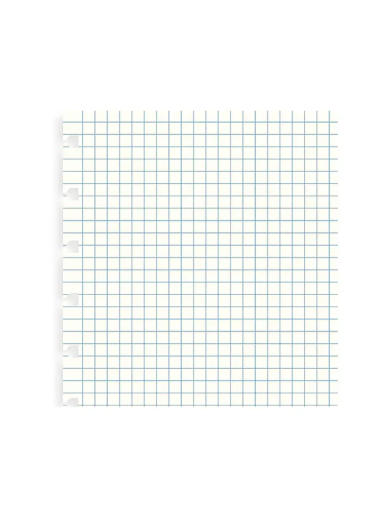 FILOFAX | Recambios de hojas cuadriculadas para cuaderno Filofax A5 | Blanco