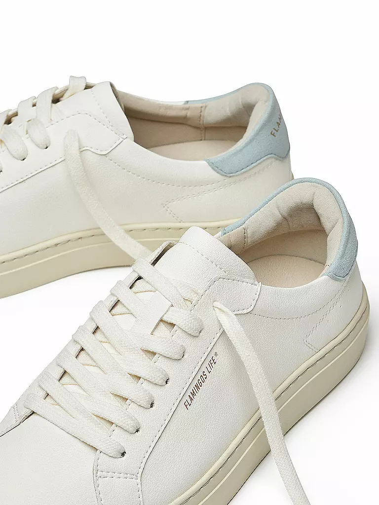 FLAMINGOS LIFE | Zapatillas HAMTON COURT | 