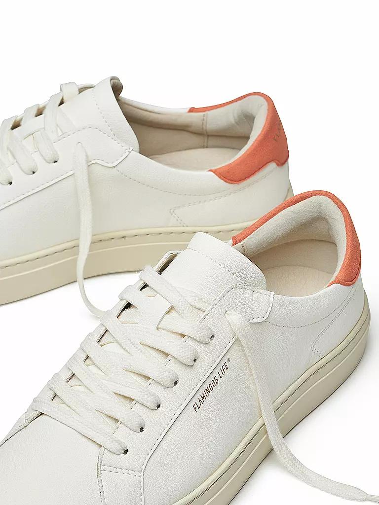 FLAMINGOS LIFE | Zapatillas HAMTON COURT | 