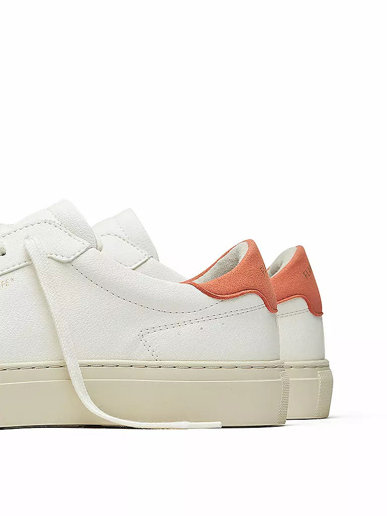 FLAMINGOS LIFE | Zapatillas HAMTON COURT | 
