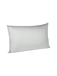FLEURESSE | Funda de almohada de satén "Royal Uni" 2 unidades 40x60cm (Negro) | Plata