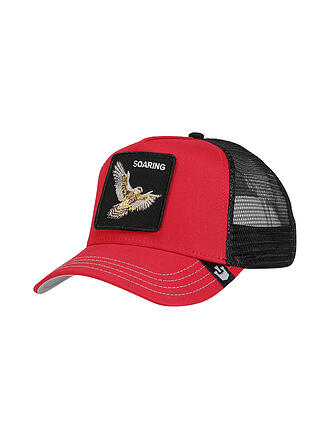 GOORIN BROS. | Gorra FALCON FAN