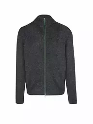 GOTTSEIDANK | Chaqueta de punto tradicional LEVIN | Gris