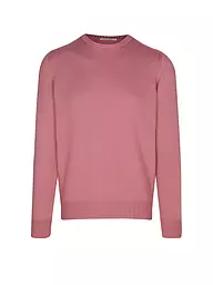 GRAN SASSO | Jersey | Rosa