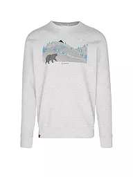 GREENBOMB | Sweater WILD ANIMAL BEARLAND | Gris
