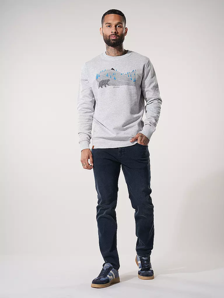 GREENBOMB | Sweater WILD ANIMAL BEARLAND | Gris