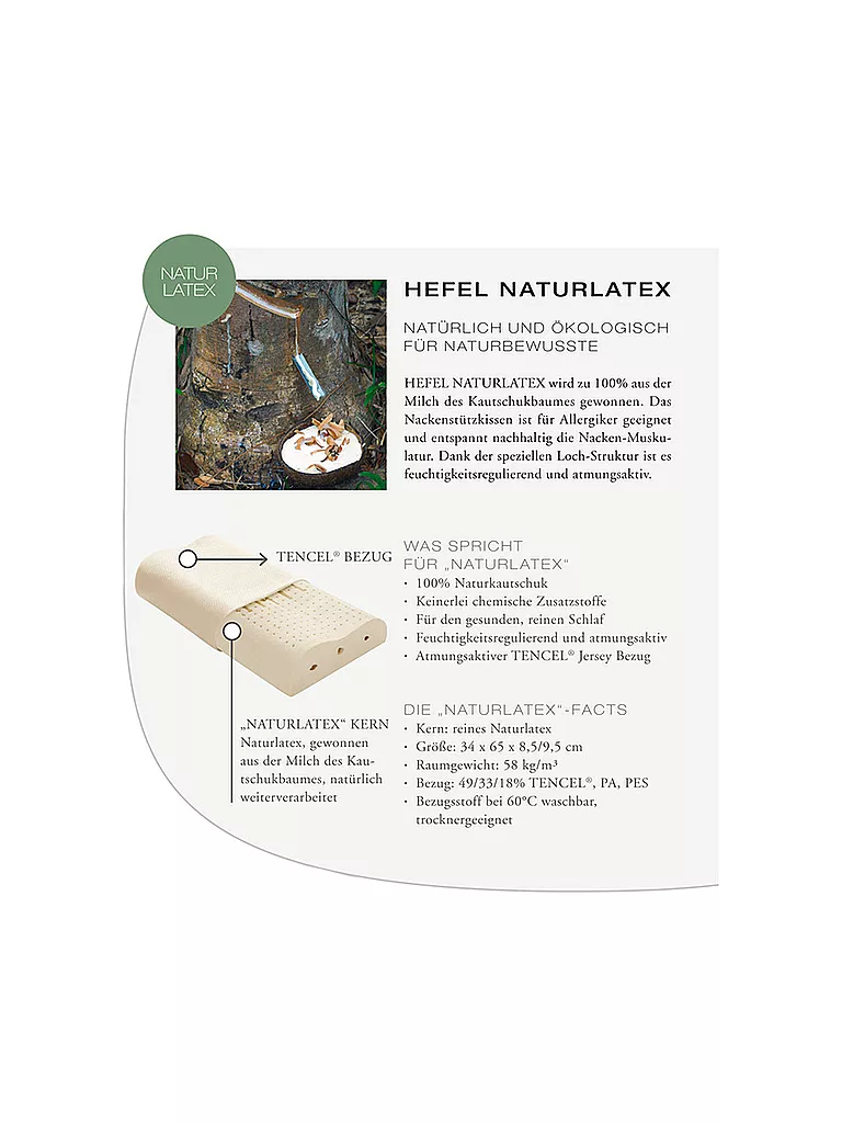 HEFEL | Almohada cervical "Látex natural" 34x65cm | Blanco